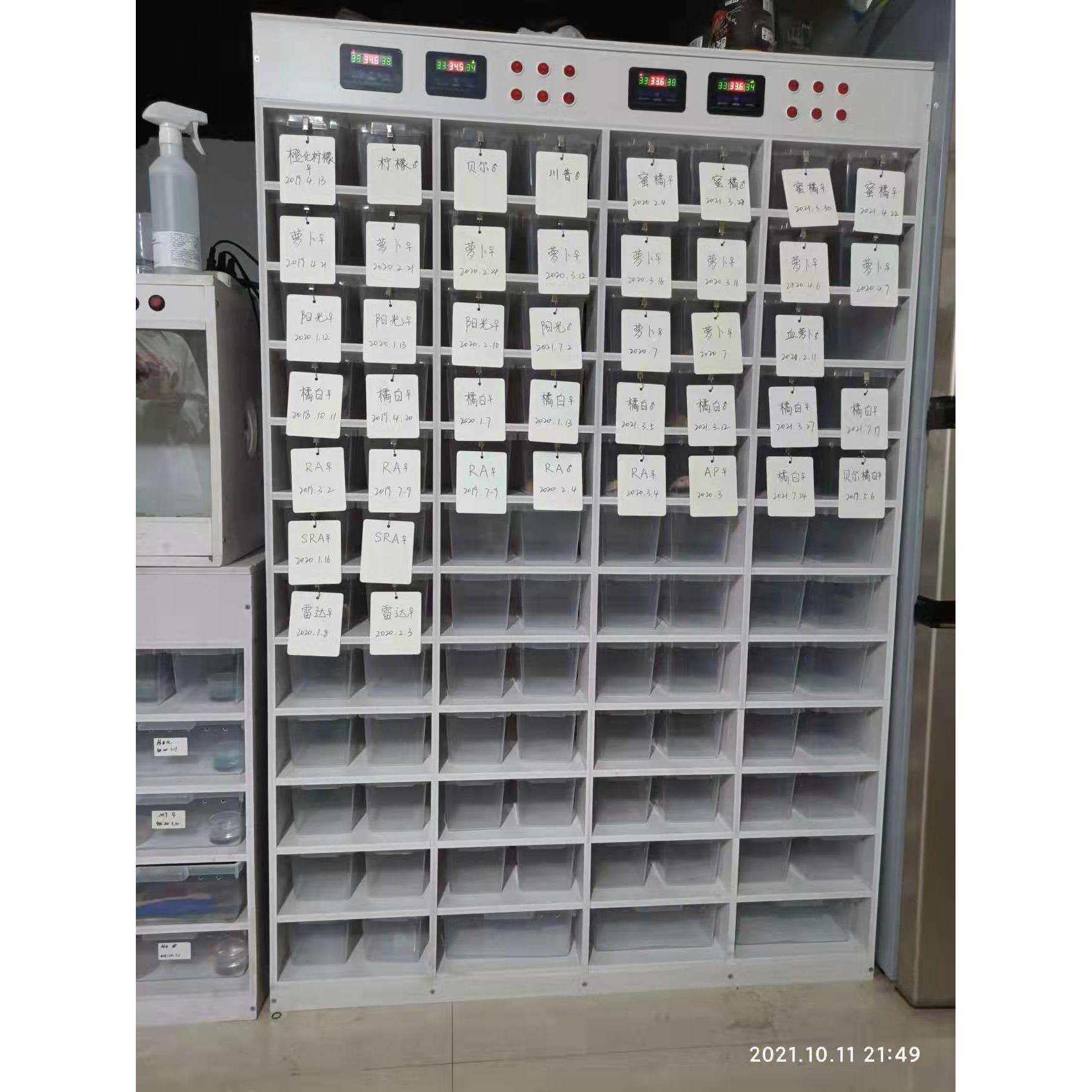 A4爬虫爬宠PVC爬柜温控饲养柜底部加热玩具蛇爬保温箱,玩具/童车/益智/积木/模型,毛绒/玩偶/公仔/布艺类玩具,淘宝优惠券,粉丝福利购,淘宝优惠卷