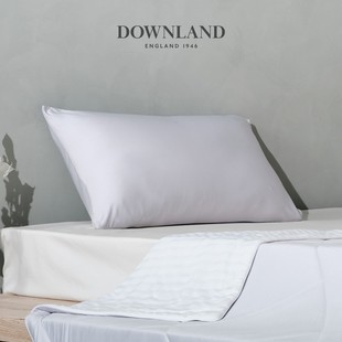 极速DOWNLAND顺滑款冷感枕头枕套春夏凉可水洗单个装男Z女单双人