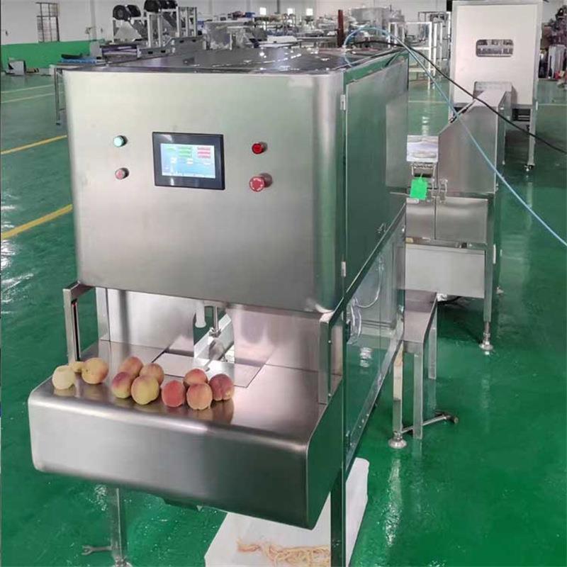 商用不锈钢苹果削皮机全自动桃子梨快速去皮设备