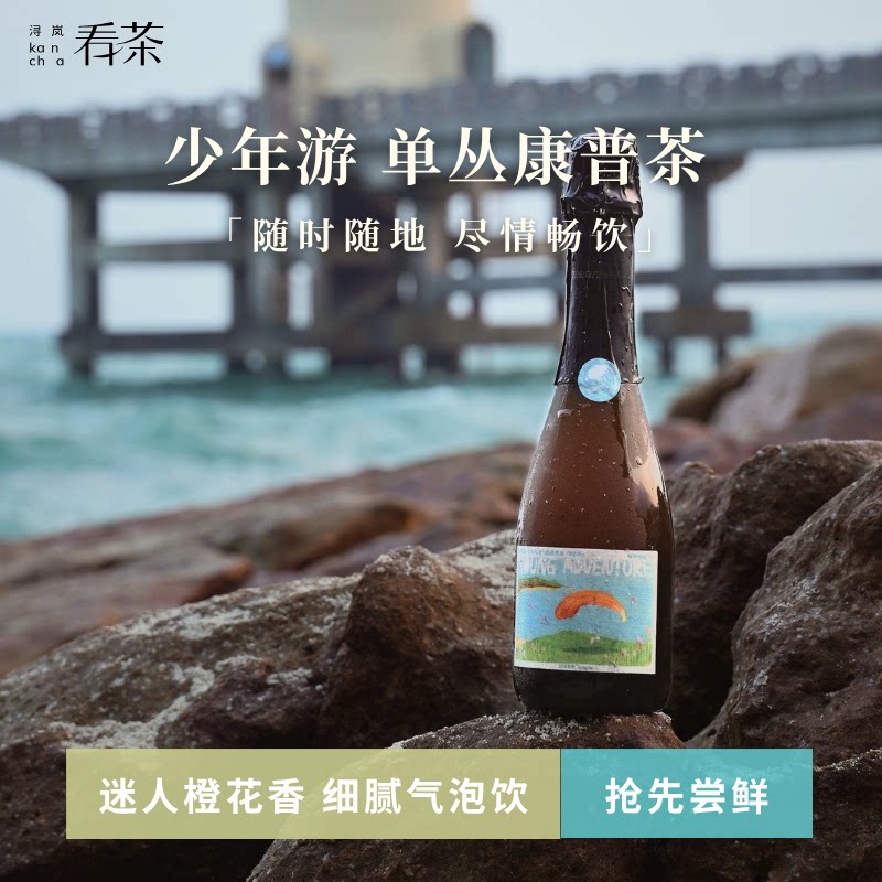 浔岚看茶少年游单丛乌龙康普茶