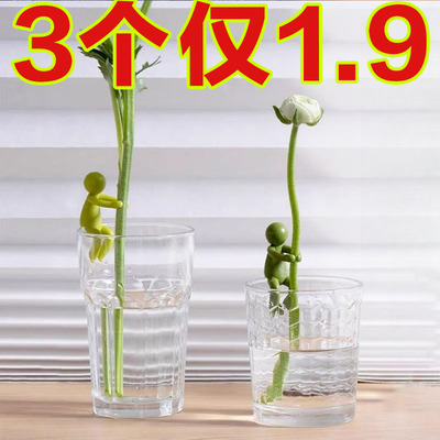 水培植物生长伴侣扶正扶枝