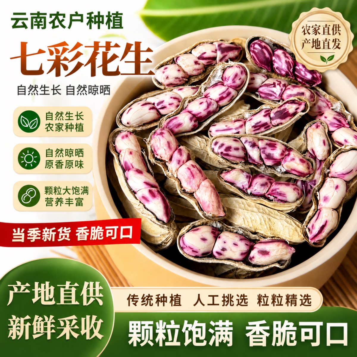 云南七彩花生带壳新货晒干图片