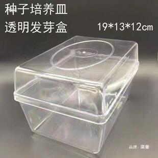 整件50只装种子发芽盒玉米小麦催芽培养皿塑料透明育苗盒其他风