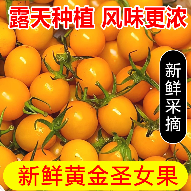黄色金圣女果非夏日阳光樱桃小番茄新鲜水果酸甜小西红柿千禧包邮