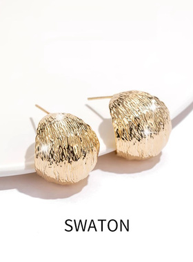 法式金属拉丝耳钉女纯银小众设计耳环2025新款爆款高级感轻奢耳饰