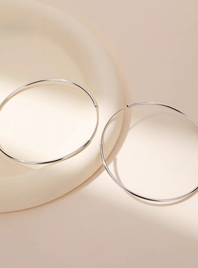 纯银大小耳圈大耳环女大号简约养耳洞素圈适合夏天的2025新款耳饰