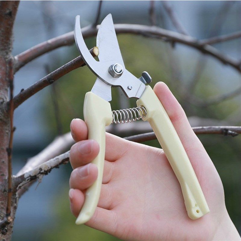 园林花艺省力剪子花剪园艺修剪树枝剪粗枝果树剪枝修花剪刀修枝剪,搬运/仓储/物流设备,机械式停车设备（立体停车库）,淘宝优惠券,粉丝福利购,淘宝优惠卷