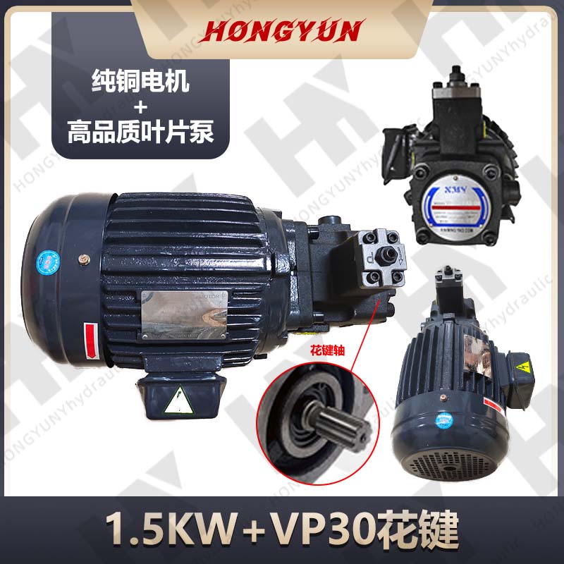 液压油泵电机组VP20+0.75KW1.5液压泵总成内轴电机液压站配件系统