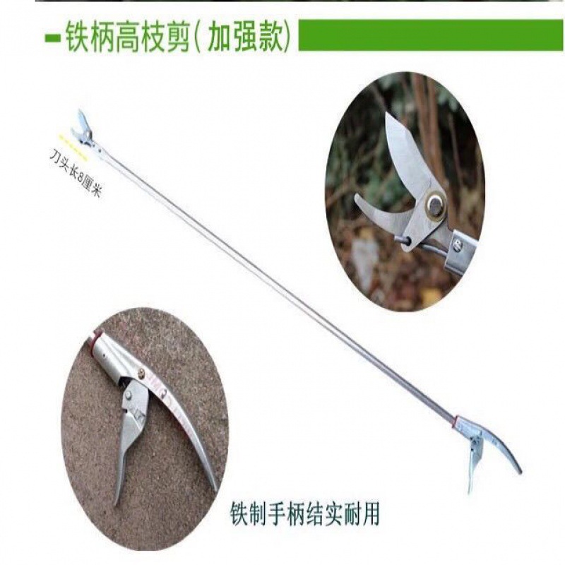 德国进口高空剪果枝剪刀园林高空剪高枝剪刀伸缩高枝剪高空采摘剪
