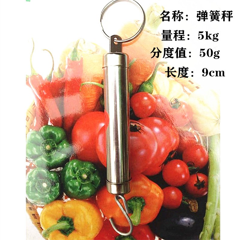 弹簧秤勾秤c便携手提称老式计量称买菜秤机械弹簧称钩称5斤10kg秤