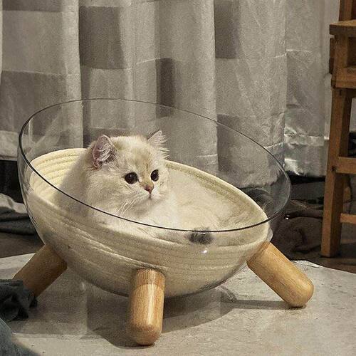 太空舱猫窝四季通用高透冰窝半封闭亚克力实木转盘猫玩具猫床一体