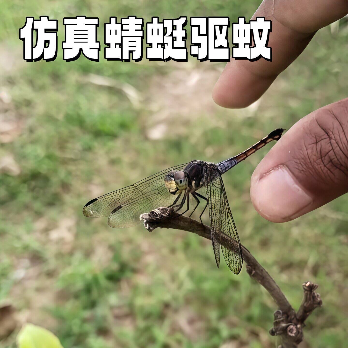 农村院子驱蚊神器户外仿真蜻蜓户外钓鱼驱蚊神器宠物遛狗物理驱蚊