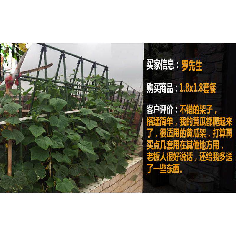 菜园爬藤架简易豆角架支架瓜棚架子架园艺黄瓜爬庭院植物花藤架