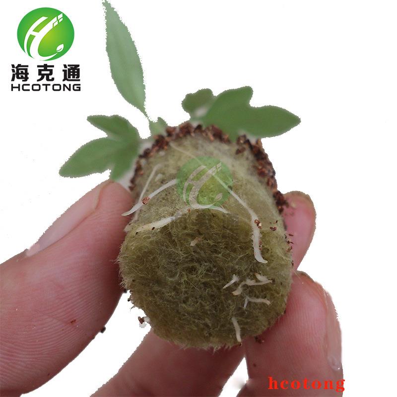 温室grodan番茄无土栽培种植岩棉育苗盘托盘岩棉塞岩棉育苗块