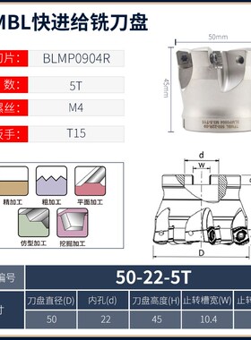 TFMBL09刀盘快进给重切削数控y开粗铣刀盘 通装特固克BLMP0904刀