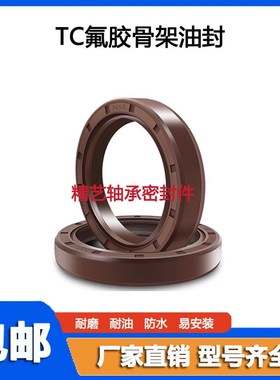 TC88*115*13氟胶油封88x115x13 88.115.13 88/115/13耐高温耐腐蚀