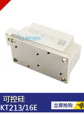 可控硅模块SKKT253/16E SKKT213 SKKT273 SKKT330/16E 晶闸管SKKH