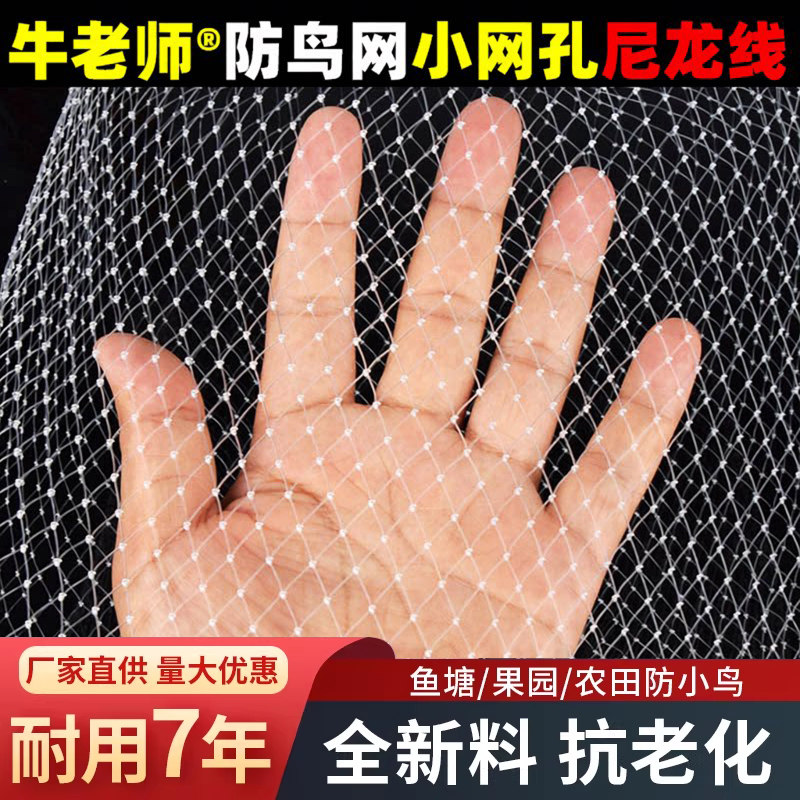 防鸟网果树果园大棚尼龙线防鸟用网农用樱桃树嘉宝果葡萄鱼塘天网