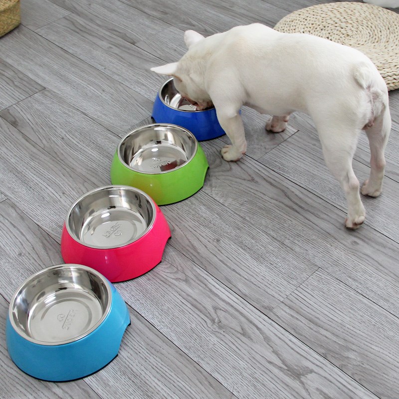 宠物狗碗单碗不锈钢狗狗食盆泰迪法斗狗饭碗树脂宠物碗猫碗猫食盆