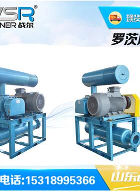 山西 SR65型三叶罗茨鼓风机 污水曝气用曝气机山东战尔机械厂家