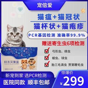 猫咪体检套餐猫瘟杯状猫疱疹病毒PCR基因检测赠寄生虫弓形虫蛔虫