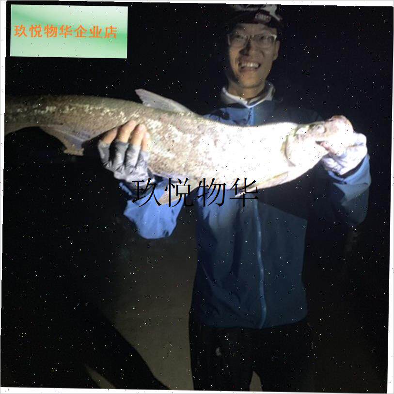 轻青舞虫路亚饵软饵鲈鱼桂鱼鳜鱼翘嘴鲶鱼青梢针尾X直尾路亚根钓,