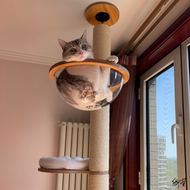 猫爬架三层家用猫抓金p渐层布偶柱柱实木豪华猫窝猫树通天柱一体