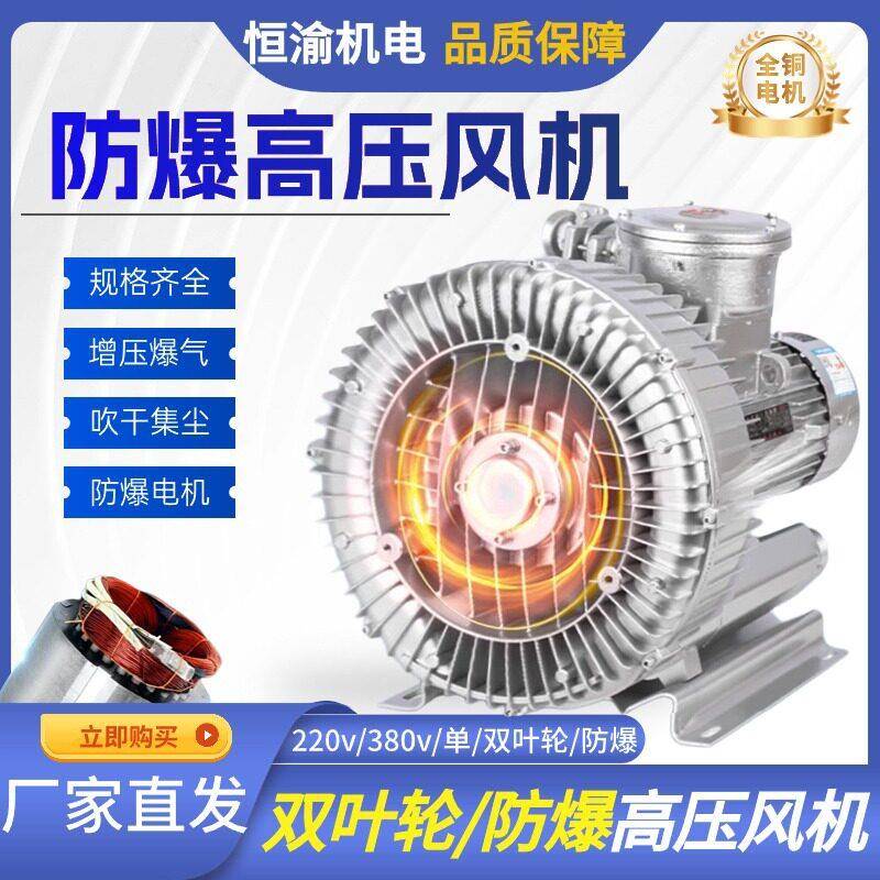 XGB旋涡鼓风机工业压双叶轮防爆气泵鱼塘氧离心轴流涡流风机