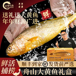 舟山大黄鱼礼盒海鲜黄花鱼新鲜冷冻鲜活水产节假日过节送领导送礼