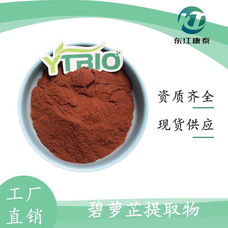 碧萝芷提取物 原花青素 沿海松树皮提取物 东江康泰 量大优惠