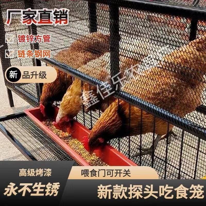外喂食鸡笼子家用养殖伸头吃食款式农村户外养殖笼鸡鸭鹌鹑鸽笼子