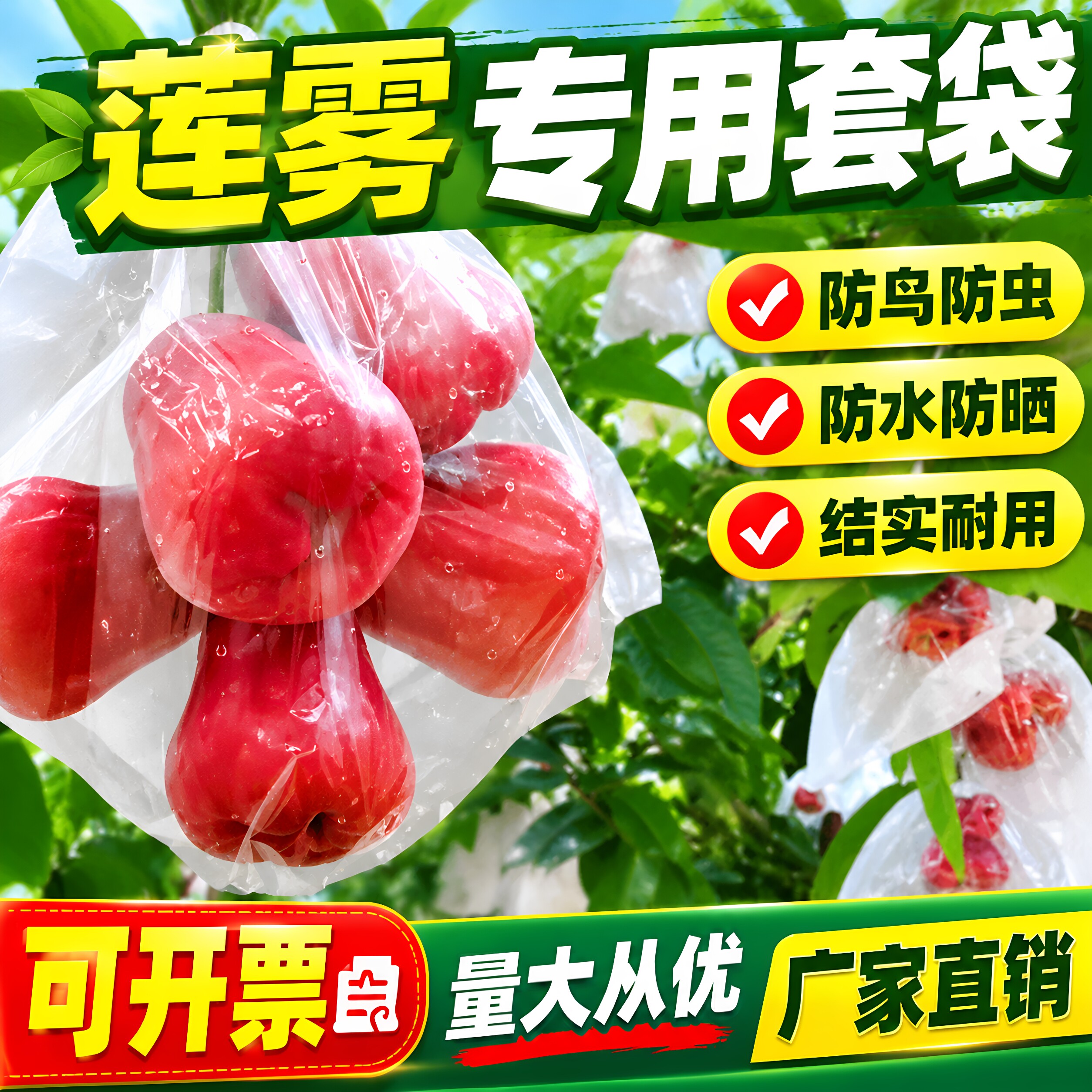 莲雾套袋日光袋半透明日光莲雾袋