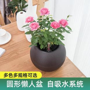 北欧简约创意个性 2024新款 圆形桌面绿植兰花自动吸水懒人花盆塑料