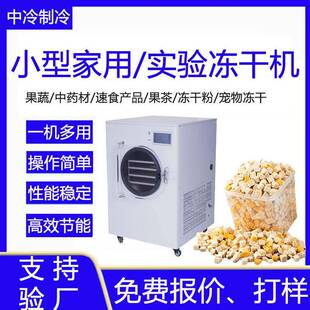 实验型冻干设备小型果蔬真空冷冻干燥机冻干粉宠物食品冻干机家用