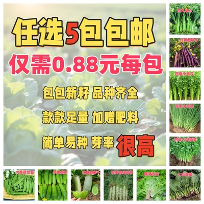 四季蔬菜种子大全青菜辣椒香菜