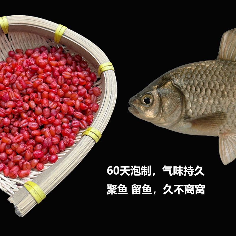 佑宇野钓黑坑中药酒泡制麦粒窝料