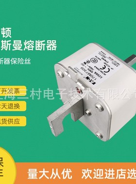 全新原装快速熔断器保险丝170M7s250 170M7255 170M7260 170M7309