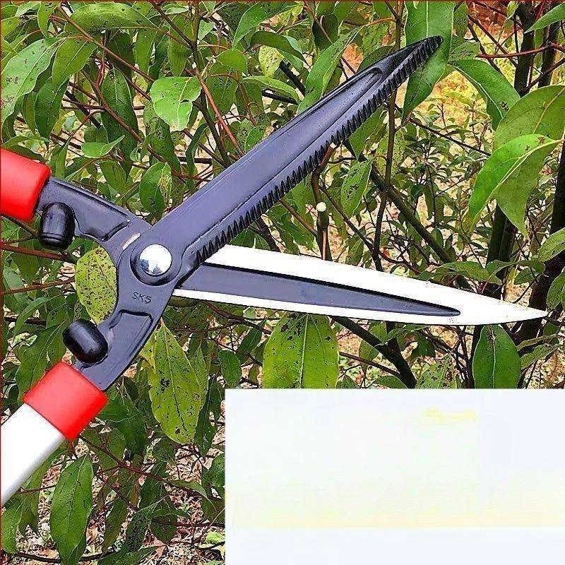 园艺大剪刀园林花剪修花u修枝剪花木剪草修草坪绿篱剪省力修剪,洗护清洁剂/卫生巾/纸/香薰,商用空气治理/芳香用品,淘宝优惠券,粉丝福利购,淘宝优惠卷