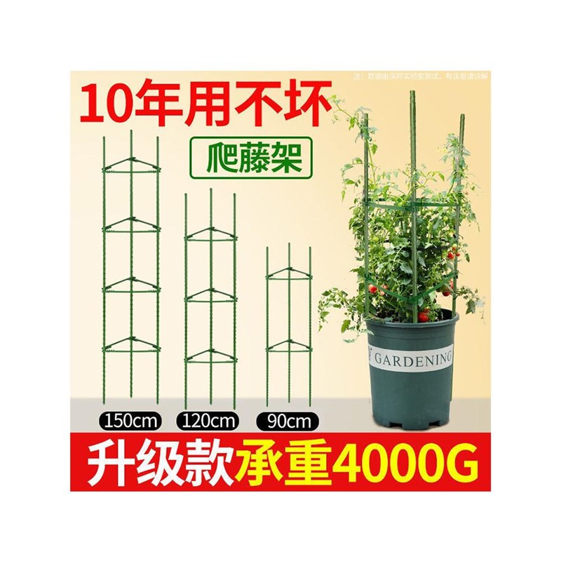 西红柿架花架番茄支架黄瓜爬藤植物茄子豆角种P菜园艺蔬菜攀爬架