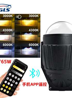 DGLS-东莞撸神跨境APP遥控3寸三色LED雾灯防水汽车通用超亮大灯