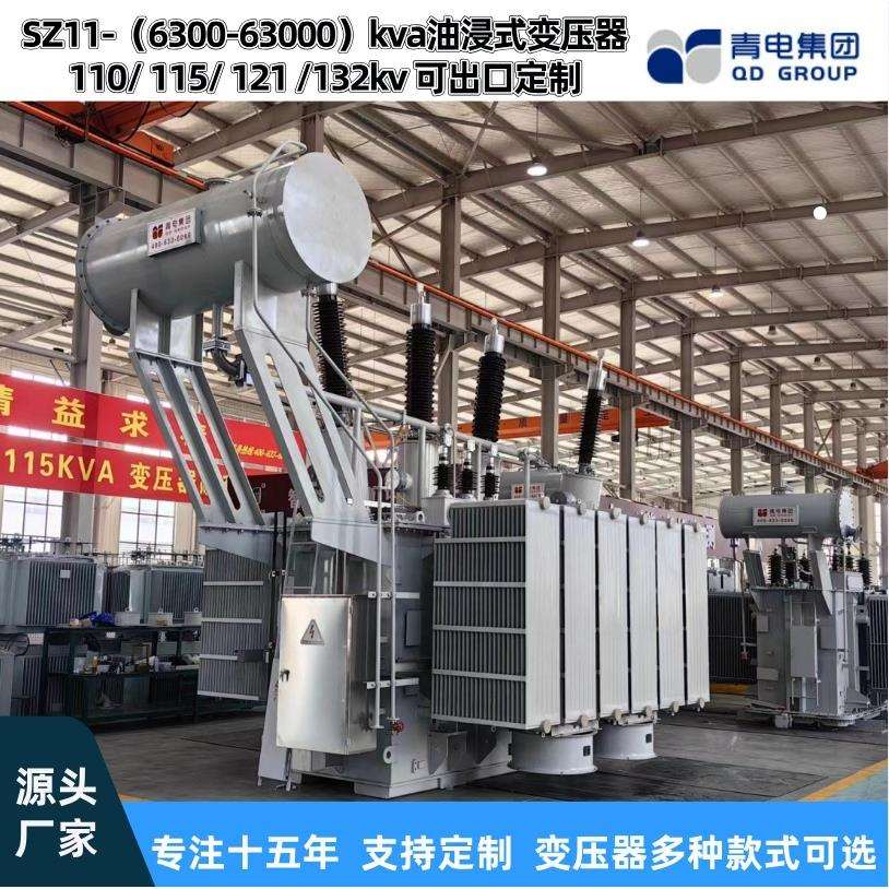 青电变压器厂 SZ20- 6300 25000 63000KVA/110kv油浸式主变压器