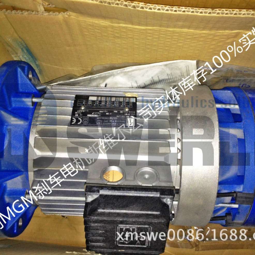 BA100LA4 意大利MGM刹车电机