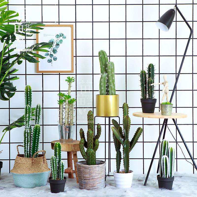 仿真植物盆栽仙人掌盆景仙人柱墨西哥天轮柱装饰摆件落地道具,农机/农具/农膜,播种栽苗器/地膜机,淘宝优惠券,粉丝福利购,淘宝优惠卷