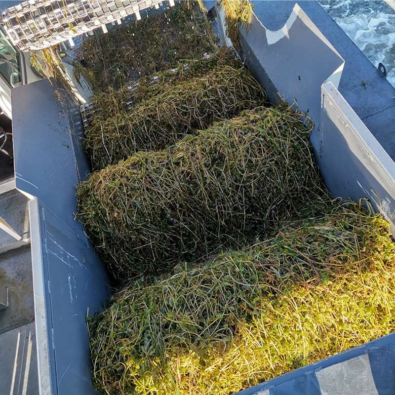 城市全自动割草船 双明轮驱动一人可操控 景区水库河道保洁船