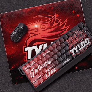 原厂高度键盘 适配60 csgo天禄键帽定制 PBT 小蜜蜂wooting