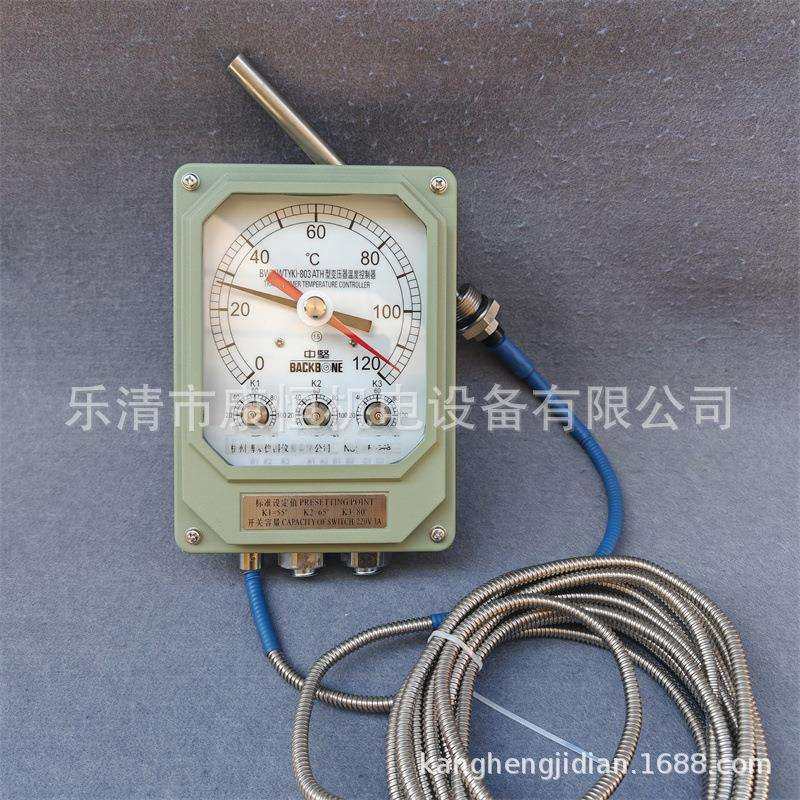 杭州博阳变压器温度控制器BWY(WTYK)-803ATH油面温控器BWY-803ATH,玩具/童车/益智/积木/模型,毛绒/玩偶/公仔/布艺类玩具,淘宝优惠券,粉丝福利购,淘宝优惠卷