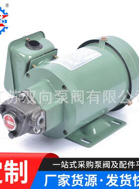插入式油泵RHB-2.5A泵电机组TOP-12A润滑摆线齿轮油泵机床输送泵