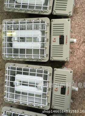 CBT53BAT813防爆泛光灯IIC BAD5031隔爆型BTC6131 路灯防爆灯.