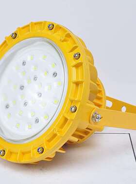 LED免维护防爆灯SLD3102 60/70/80W泛光照明灯220V圆形防爆吸顶灯