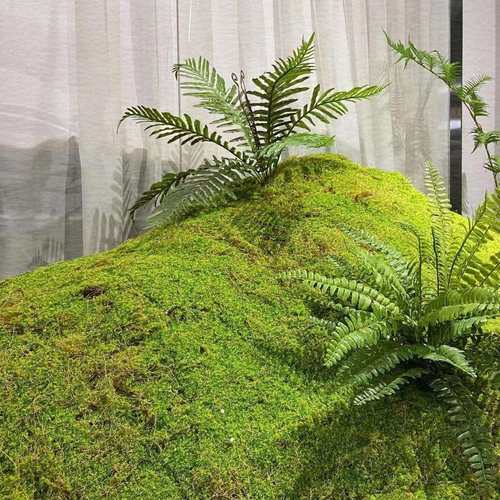 仿真苔藓草皮 青苔草皮 网红苔藓绿植墙布景 仿真苔藓椰丝青苔